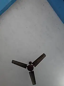 67sanju online show from February 2026 02:43:01 AM