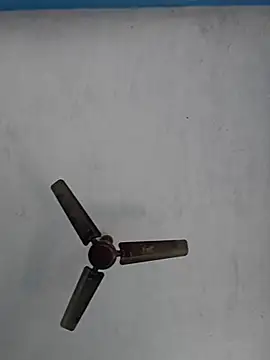 67sanju online show from February 2026 04:46:02 AM