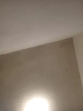 priscilaf online show from April 2026 09:43:01 AM