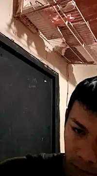 darwinmodell online show from March 2025 03:56:01 PM