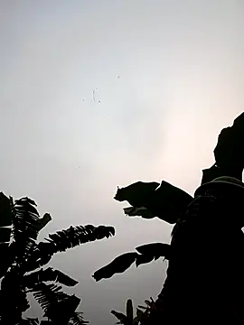 JenyLy68 online show from March 2026 12:27:01 AM