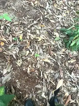 Snapshot of bibedro chatting on February 2026 09:16:01 PM bibedro online show from February 2026 09:16:01 PM