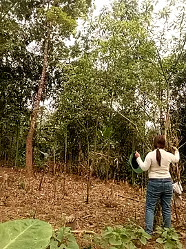 lyly sexx online show from March 2026 01:05:02 AM