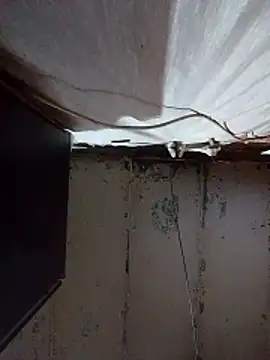 Mashaps2384 online show from March 2026 08:43:02 AM