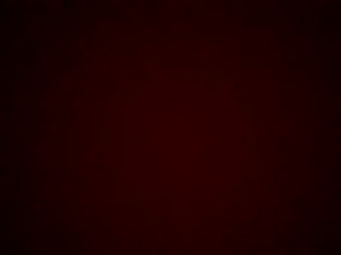 Snapshot of kiraa-007 chatting on May 2026 03:53:02 PM kiraa-007 online show from May 2026 03:53:02 PM