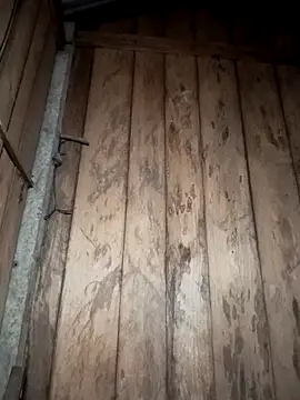 Snapshot of Mizu-hotshow chatting on March 2026 10:32:01 PM Mizu-hotshow online show from March 2026 10:32:01 PM