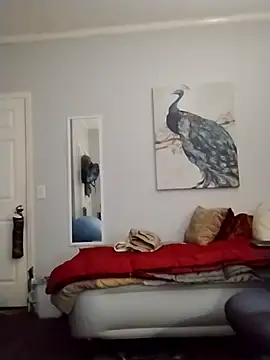 coestet online show from April 2026 01:16:02 AM