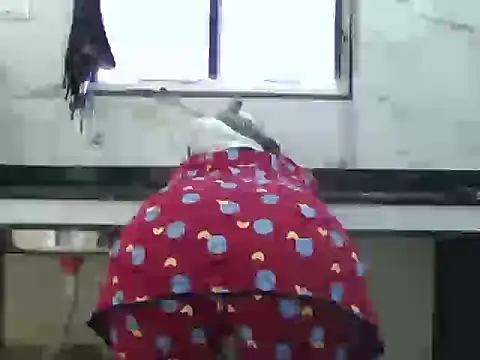 Miss Sanika online show from March 2026 10:00:02 AM