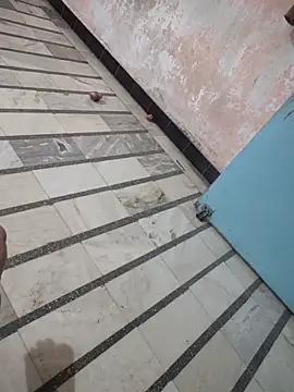 Tamillaxmi12 online show from March 2026 01:08:01 PM