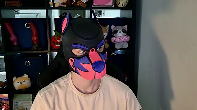 MellPUP online show from June 2026 06:09:02 PM