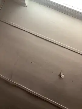 Snapshot of sexynkulu chatting on March 2026 03:51:01 PM sexynkulu online show from March 2026 03:51:01 PM