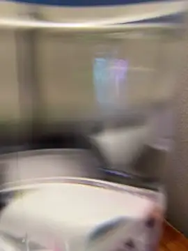 SerenaSinCloud online show from March 2026 03:30:02 PM