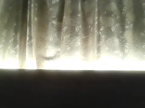 SusiHot01 online show from March 2026 02:06:01 AM