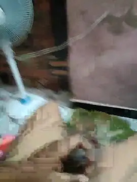 Daddy 883 online show from March 2026 12:48:02 AM