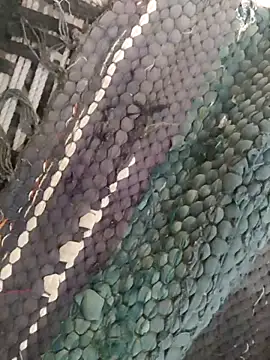 King night1 online show from April 2026 01:21:01 AM