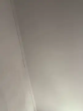 yumiXO online show from March 2026 11:14:01 AM