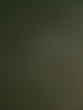 wesleymadeira online show from March 2026 01:32:01 AM