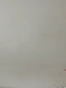 Sana-151 online show from March 2026 09:12:01 AM