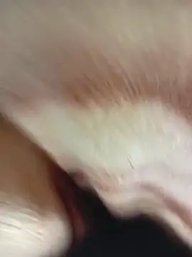 MaSimo 23 online show from March 2026 09:31:01 PM