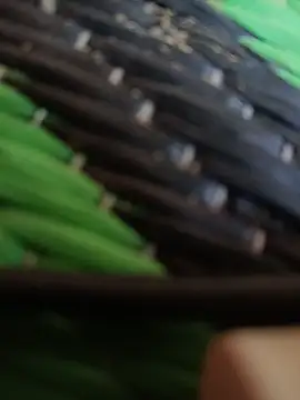 kingcouple89 online show from April 2026 07:09:01 AM