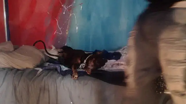 punkyslut69 online show from April 2026 06:25:02 PM