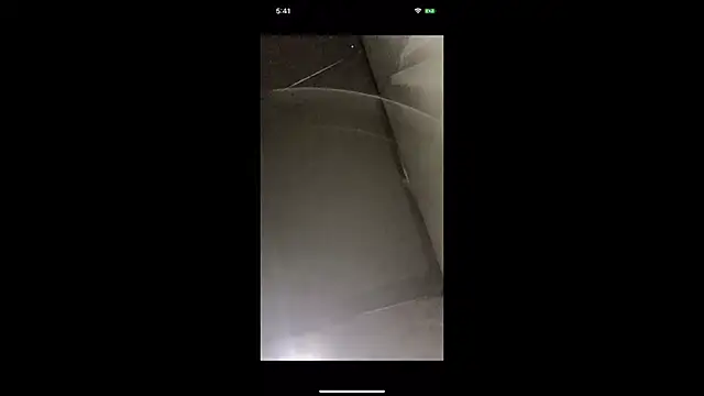 PP nina online show from April 2026 04:04:02 PM