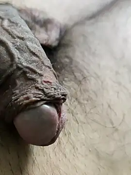 Prasad Niku online show from March 2026 05:18:02 PM