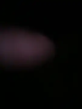 globalfucker34 online show from March 2026 08:34:01 PM