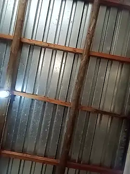 Snapshot of VrXis chatting on July 2026 08:44:02 AM VrXis online show from July 2026 08:44:02 AM
