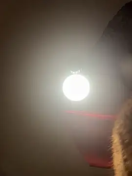 mango-kitty online show from May 2026 12:28:02 AM