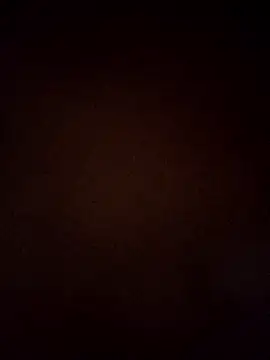 Snapshot of VENUSH_STYLO chatting on March 2026 04:40:01 PM VENUSH STYLO online show from March 2026 04:40:01 PM