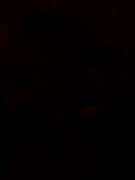 chefyahwan online show from April 2026 09:48:02 AM