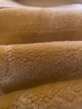 Snapshot of Ashwak_trans chatting on April 2026 12:02:01 PM Ashwak trans online show from April 2026 12:02:01 PM