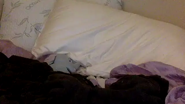 Snapshot of savannabanana chatting on March 2026 03:34:01 AM savannabanana online show from March 2026 03:34:01 AM