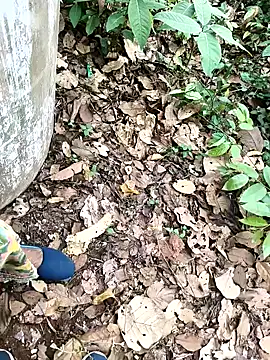 Snapshot of Chandni78 chatting on April 2026 07:50:02 AM Chandni78 online show from April 2026 07:50:02 AM