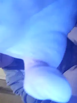 beebuzz0 online show from April 2026 08:31:01 PM