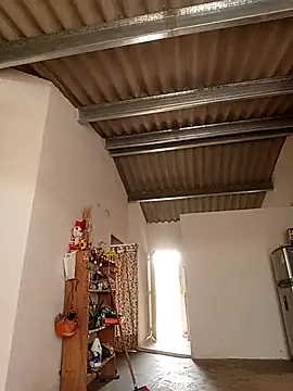 Lyra Siren online show from April 2026 05:30:01 PM