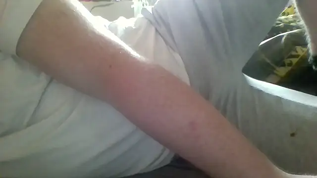 Pallmees online show from June 2026 10:40:01 AM