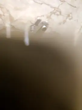 Snapshot of OBengaliBabuO chatting on March 2025 12:34:02 AM OBengaliBabuO online show from March 2025 12:34:02 AM