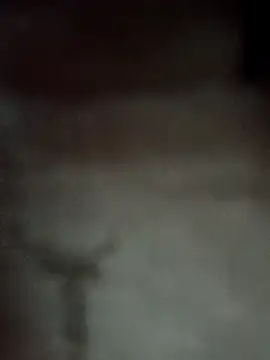 Datachange online show from April 2026 03:21:02 PM