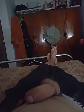 mecaloco online show from July 2026 01:51:01 PM