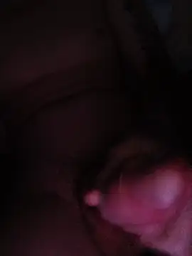 novinpirocudo19cm online show from July 2026 07:59:01 AM