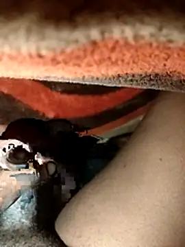 chickelikeme online show from April 2026 02:00:01 AM