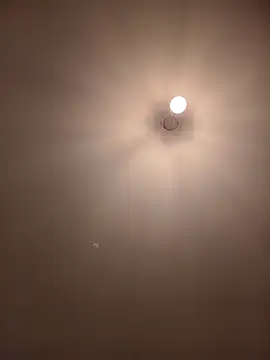 Dietosca online show from April 2026 02:28:01 AM