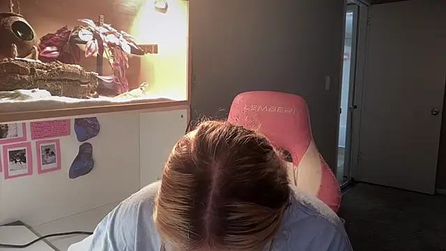 MUSCLEMOMMY1365 online show from May 2026 01:38:02 PM