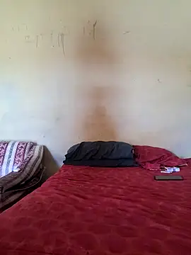 Divine doll online show from April 2026 11:13:02 AM