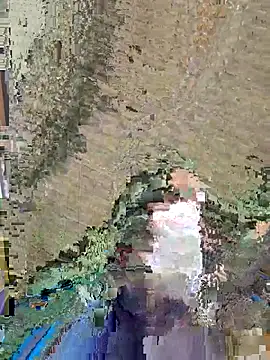 Snapshot of dickforpussyy chatting on April 2026 05:52:01 AM dickforpussyy online show from April 2026 05:52:01 AM