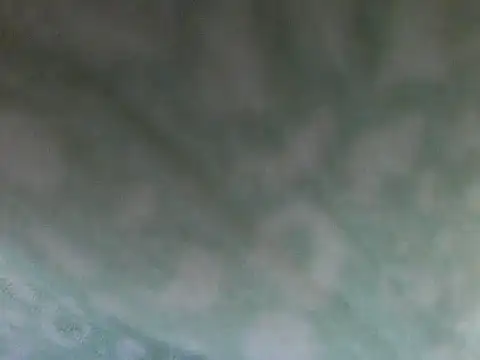 Short-V online show from April 2026 08:12:02 PM