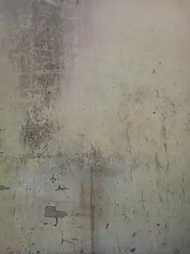 millerjail online show from July 2026 10:51:02 AM