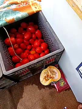 Sanjaykumarsaini online show from April 2026 06:33:02 AM